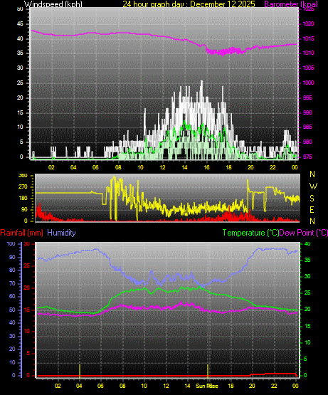 24 Hour Graph for Day 12