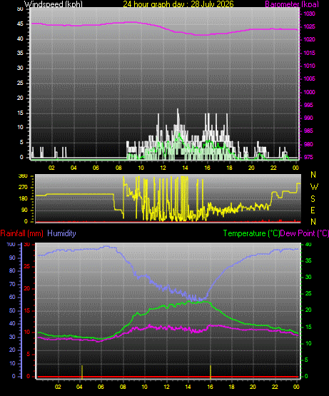 24 Hour Graph for Day 28