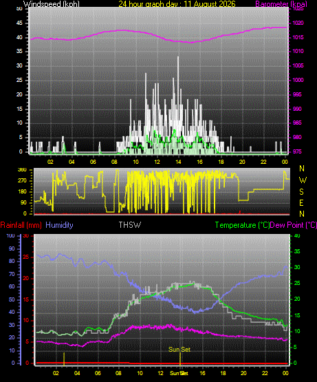 24 Hour Graph for Day 11